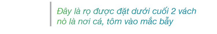 Quảng Ngãi: Độc đáo làm nò vây bắt cá, tôm trong rừng dừa nước Cà Ninh ảnh 14