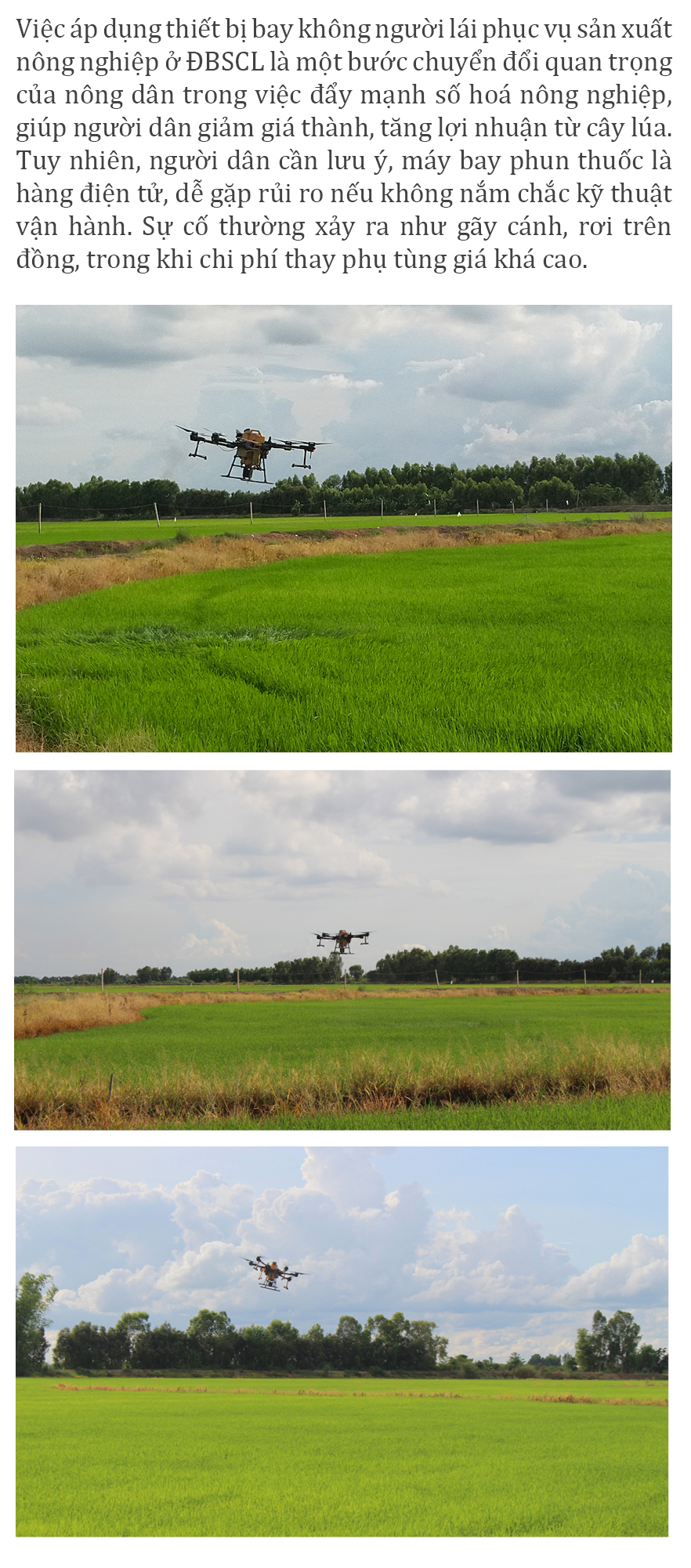 Làm nông bằng thiết bị không người lái ảnh 11