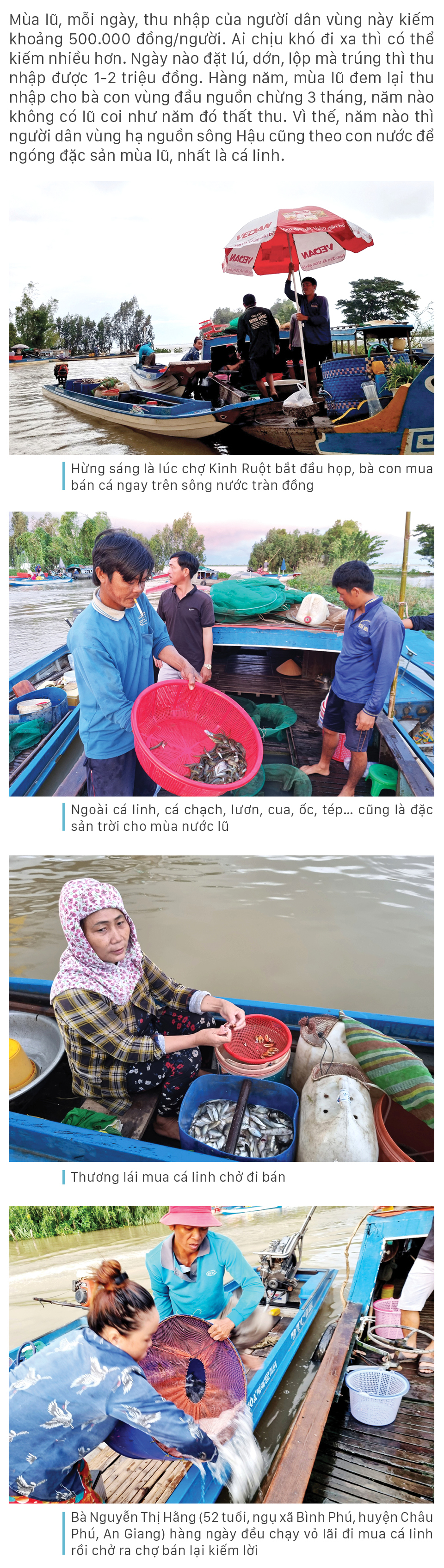 Nhộn nhịp chợ cá đặc sản mùa nước lũ ảnh 4