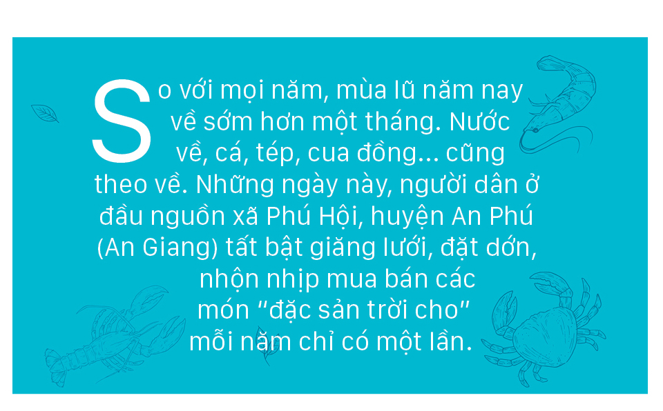 Nhộn nhịp chợ cá đặc sản mùa nước lũ ảnh 1