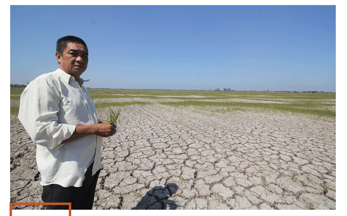 Mekong Delta grapples with drought, saltwater intrusion ảnh 1