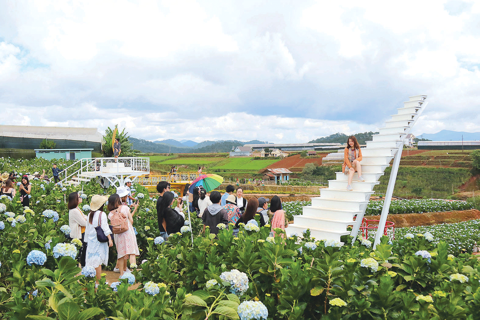 Thu tiền thật từ "sống ảo" ảnh 2