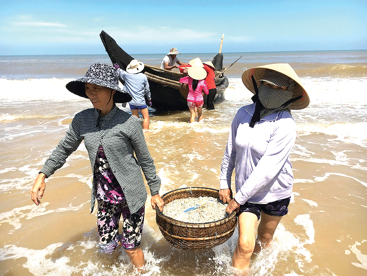 Bám biển mưu sinh ảnh 5
