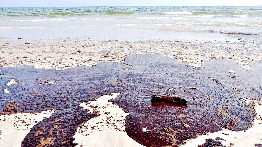 Bọt biển chống dầu loang trên biển ảnh 1