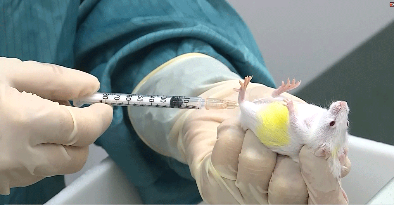 Cuộc đua vaccine Việt chống Covid-19 ảnh 2