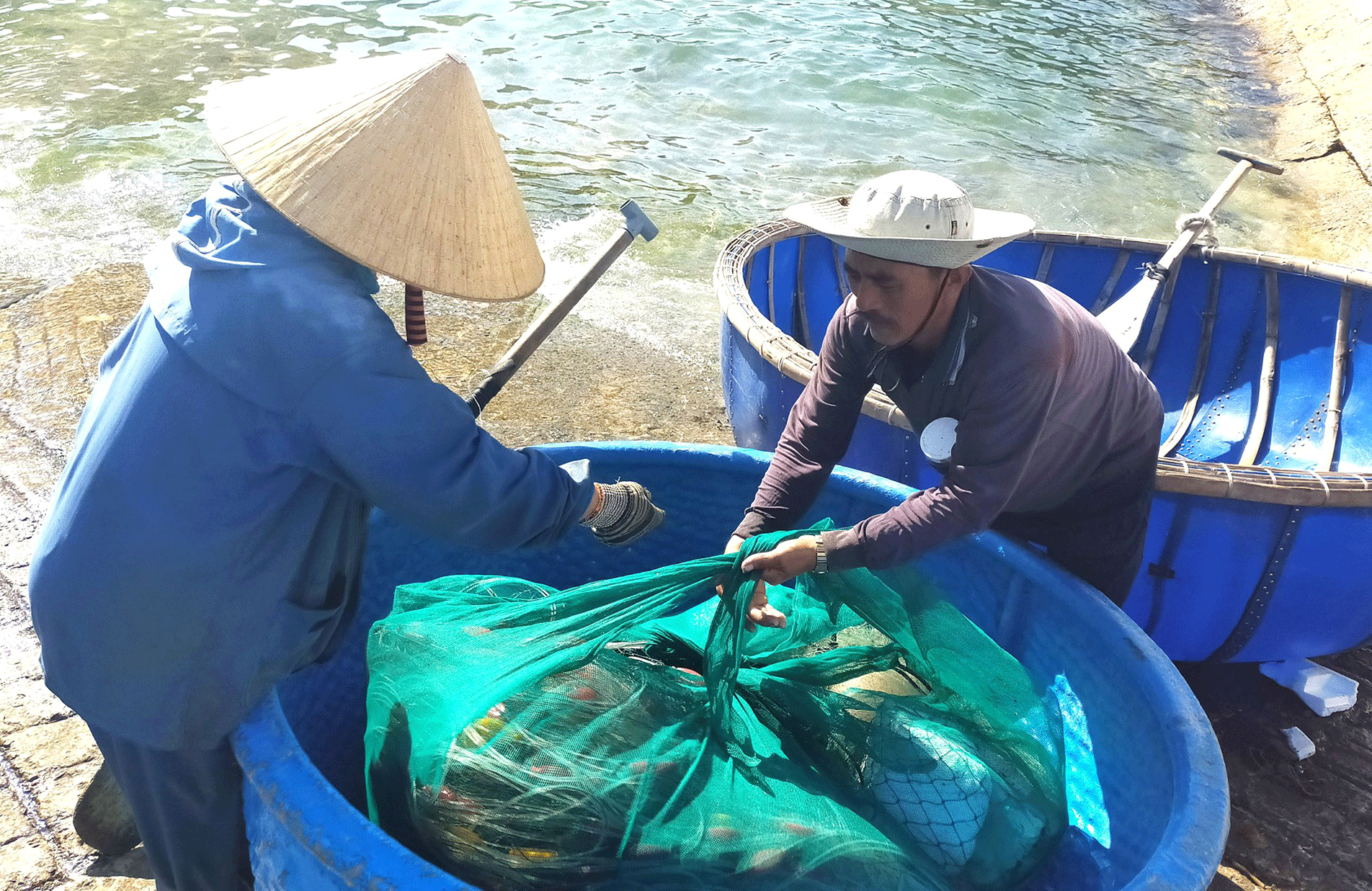 Lobster catchers earn big money in Central Vietnam ảnh 8