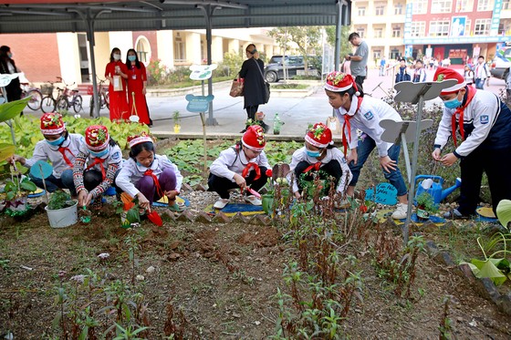 Hào hứng Lễ hội đổi cây bảo vệ gấu và Giáng sinh ảnh 1