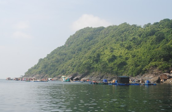 Cà Mau: Đề nghị công nhận thị trấn Sông Đốc là thị trấn đảo ảnh 1