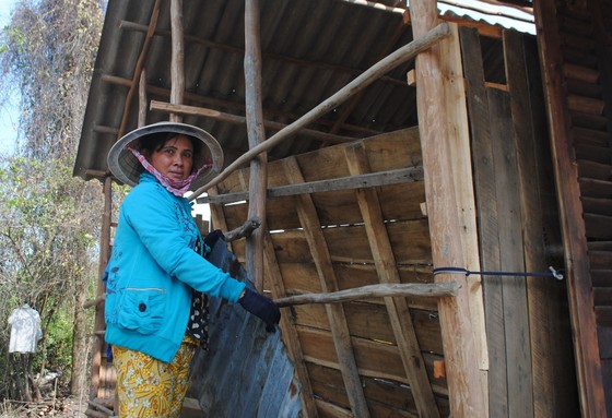 Cà Mau nguồn vốn chính sách cho đồng bào dân tộc vay chuộc đất còn tại… ngân hàng ảnh 1