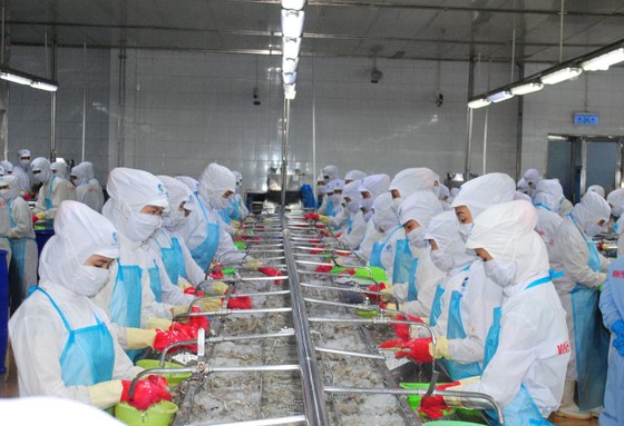 Cà Mau: trên 400 doanh nghiệp được gia hạn nộp thuế, tiền thuê đất ảnh 1