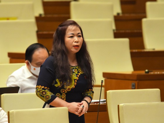 ĐBQH đề nghị đầu tư công chỉ là vốn mồi, phải đẩy mạnh PPP ảnh 2