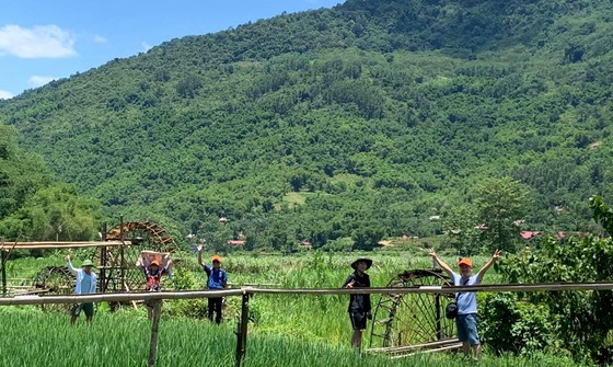 TPHCM: Điều tra đột xuất về tác động của Covid-19 đối với doanh nghiệp ảnh 2