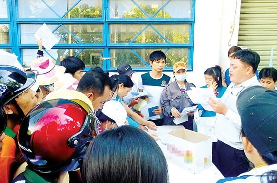 21 doanh nghiệp ở TPHCM nợ BHXH bị đề nghị xử lý hình sự ảnh 1