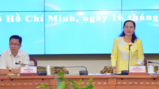 HĐND TPHCM giám sát việc thực hiện Khu đô thị mới Thủ Thiêm ảnh 1