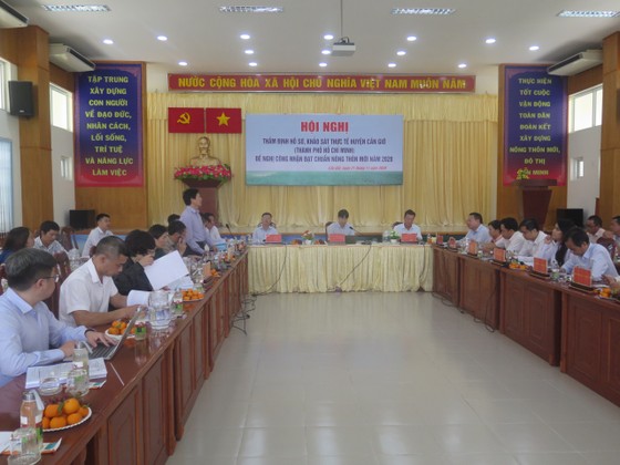 Kiểm tra thực tế để công nhận huyện Cần Giờ đạt chuẩn huyện Nông thôn mới ảnh 1