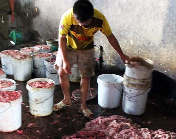 Gom mỡ nội tạng bẩn để sản xuất mỡ bán cho doanh nghiệp ảnh 1