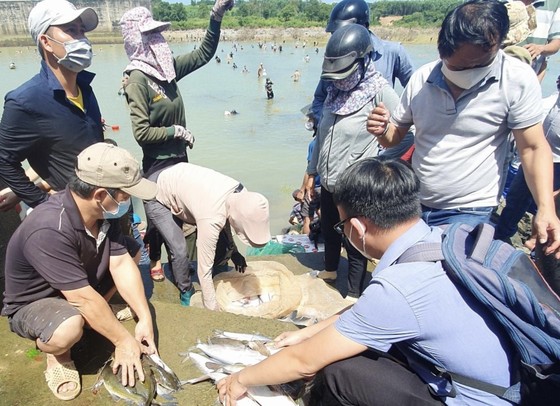 Hàng trăm người đổ xô bắt cá ở đập thủy điện Trị An ảnh 2