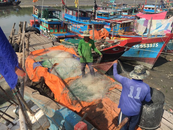 TPHCM tập trung ứng phó với bão Tembin ảnh 2