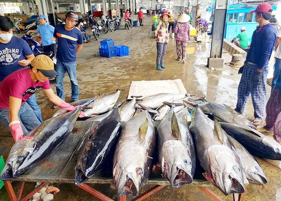 Xuất khẩu hải sản sang EU từ vị trí thứ 2 xuống thứ 5 do 'thẻ vàng' ảnh 1