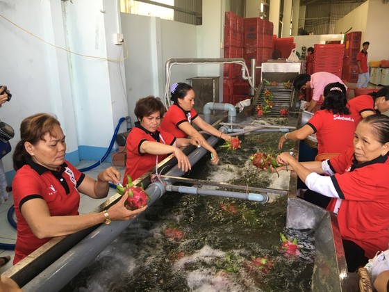 Nông sản Việt Nam xuất khẩu tăng mạnh nhờ tiếp cận thị trường 2,2 tỷ người ảnh 1