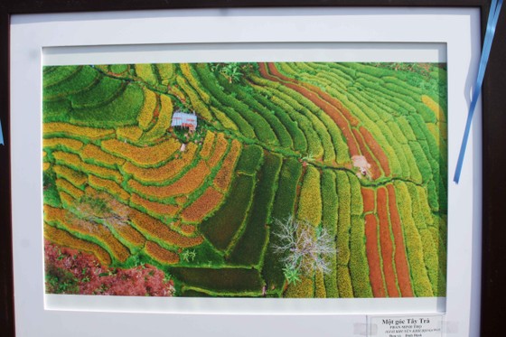 Khai mạc liên hoan ảnh nghệ thuật khu vực Nam Trung Bộ và Tây Nguyên lần thứ 23 ảnh 5