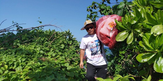 Lặn vớt rác dưới đáy biển Lý Sơn (Quảng Ngãi) ảnh 4