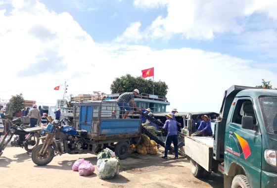 Những chuyến tàu 'chở tết' ra đảo Lý Sơn ảnh 11