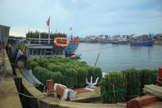 Những chuyến tàu 'chở tết' ra đảo Lý Sơn ảnh 1