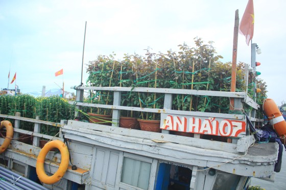 Những chuyến tàu 'chở tết' ra đảo Lý Sơn ảnh 5