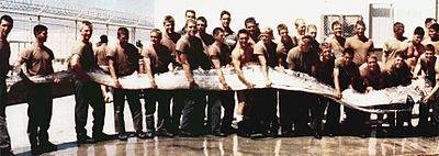 Cá hố dài 4m trôi dạt bờ biển Quảng Ngãi là một con Oarfish Thái Bình Dương khổng lồ ảnh 3