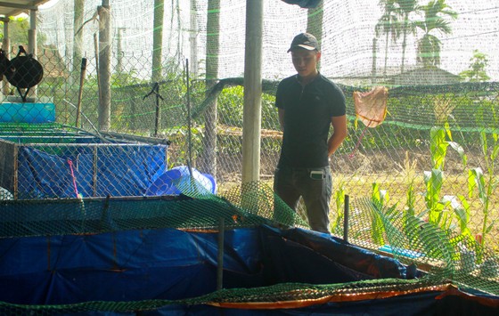 Thanh niên trẻ khởi nghiệp từ cá Koi ảnh 3