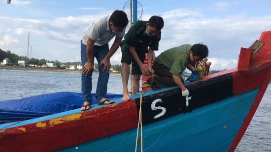 Quảng Ngãi: Một chủ tàu phải nộp phạt 900 triệu đồng vì khai thác thủy sản không có giấy phép ảnh 1