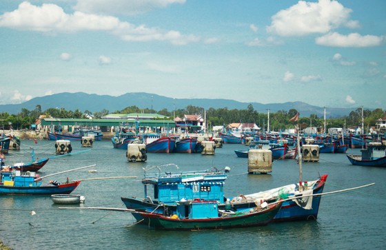 Quảng Ngãi: Khi trụ neo tàu trở thành “bẫy” ảnh 1