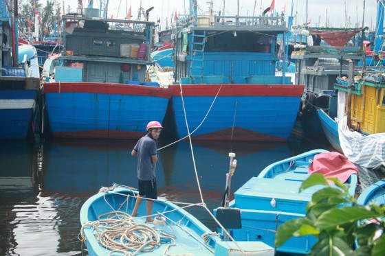 Quảng Ngãi khẩn trương neo trú tàu thuyền tránh trú bão số 9 ảnh 1