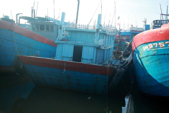 Quảng Ngãi tan hoang sau bão ảnh 8