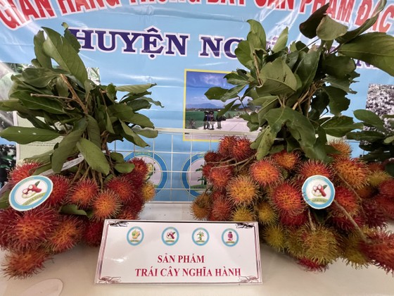 Bí thư Tỉnh ủy Quảng Ngãi chia sẻ, giải quyết khó khăn cho nông dân ảnh 3