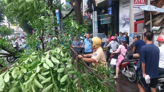 Cây xanh gãy đè ô tô, giao thông ùn tắc ảnh 2