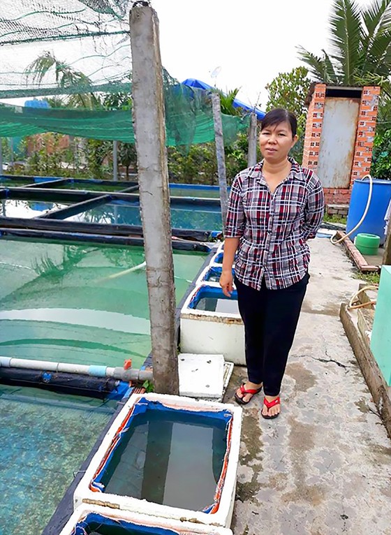 Nuôi cá cảnh - làm thử, ăn thật ảnh 1