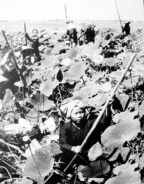 Cuộc tổng tiến công và nổi dậy Xuân Mậu Thân 1968: Sự thống nhất giữa ý Đảng, lòng dân ảnh 1