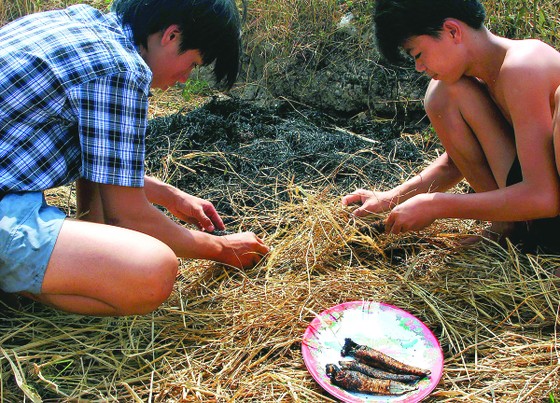 Tích tắc về phía mùa Xuân ảnh 2