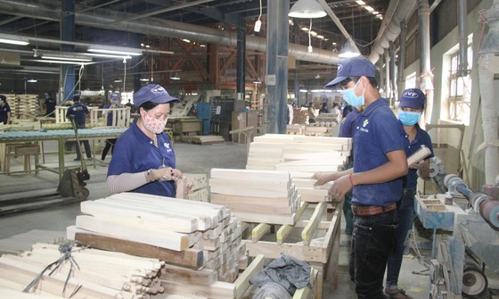 Triển vọng ngành gỗ Đông Nam bộ ảnh 1