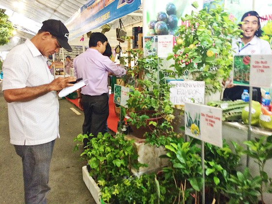 Hơn 350 gian hàng tại Hội chợ - Triển lãm 'Giống và nông nghiệp công nghệ cao' ảnh 1
