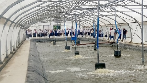 Ứng dụng công nghệ cao để nâng sức cạnh tranh ảnh 1