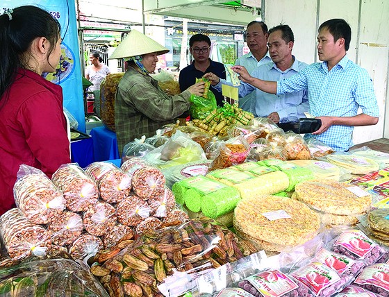 Không gian dừa ảnh 8