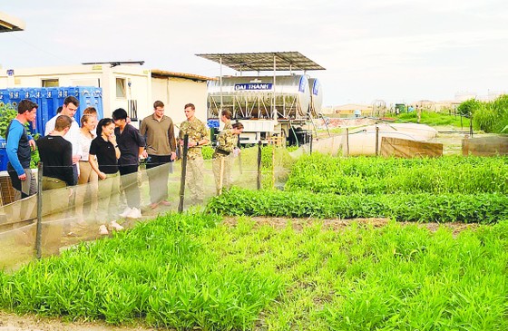 Vườn rau xanh trên cát trắng Nam Sudan ảnh 1