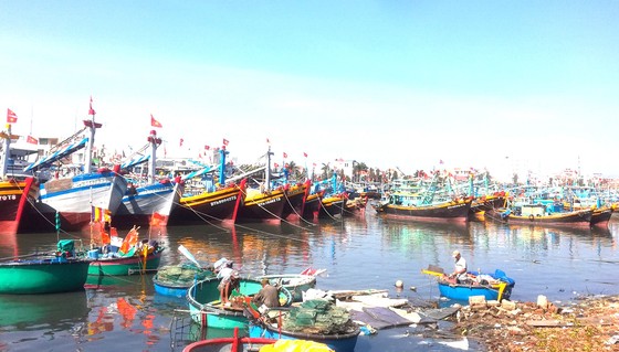 Tàu cá nằm bờ vì thiếu hụt lao động ảnh 1