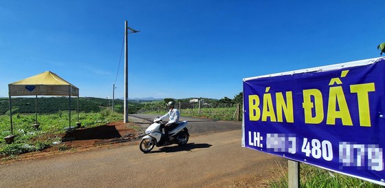 Bát nháo phân lô, bán nền tại Nam Trung bộ - Tây Nguyên - Bài 1: Đất nông nghiệp, đìa tôm 'lên đời' ảnh 1