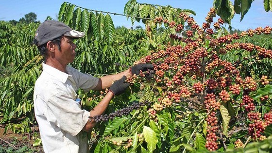 Thị trường Ba Lan: Cửa ngõ quan trọng đưa hàng Việt vào EU ảnh 1