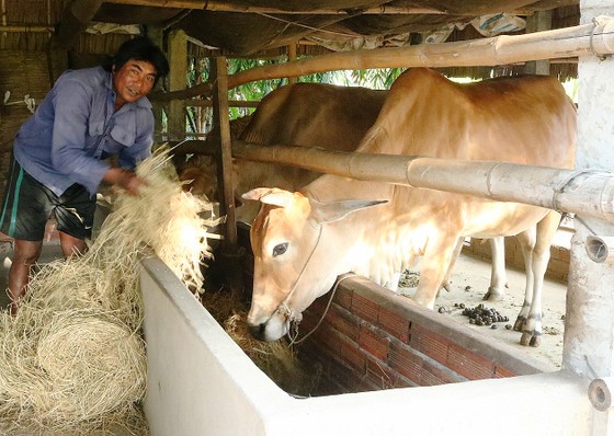 Mang xuân ấm đến đồng bào Khmer ảnh 1