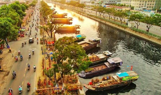Trên bến dưới thuyền khoe sắc ảnh 1